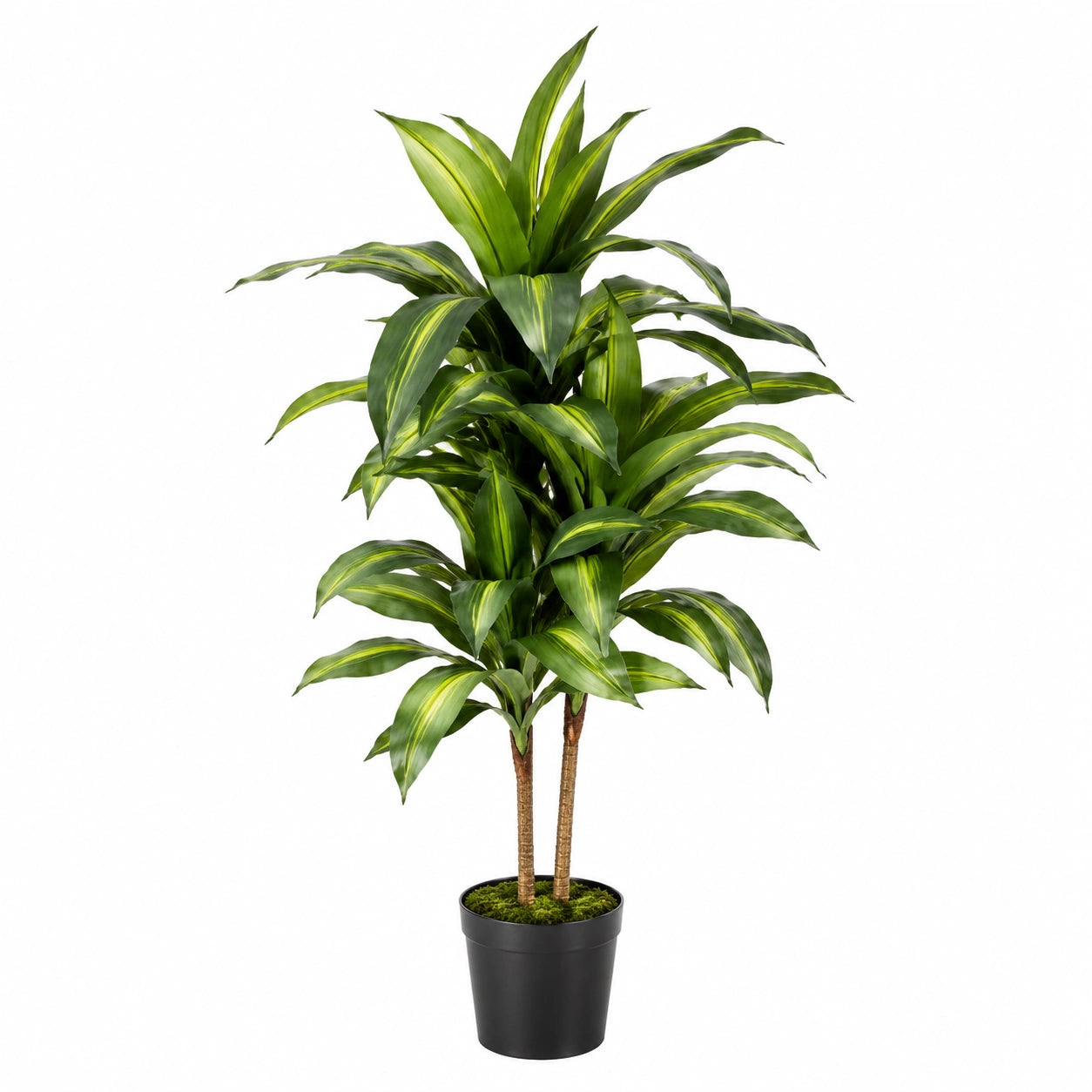 Künstliche Dracaena Pflanze mit Topf, 150 cm, Grün
