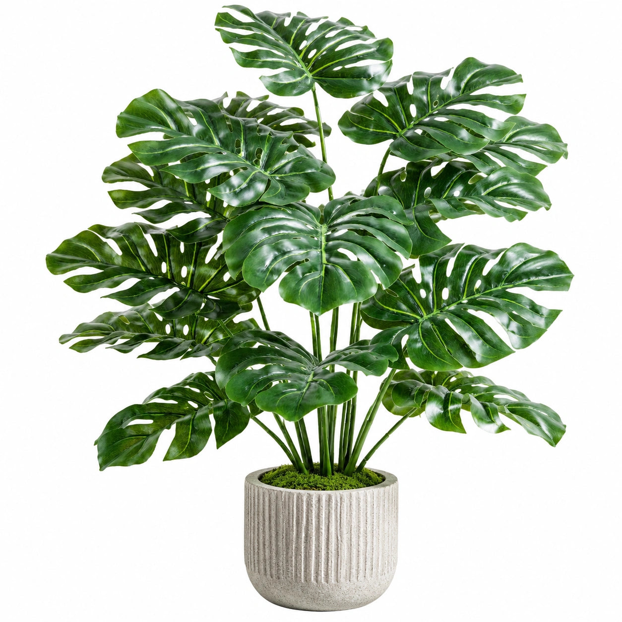 Künstliche Monstera Pflanze mit Keramiktopf 100cm Grün