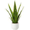 Künstliche Sansevieria Trifasciata Grün mit Keramiktopf, 50 cm