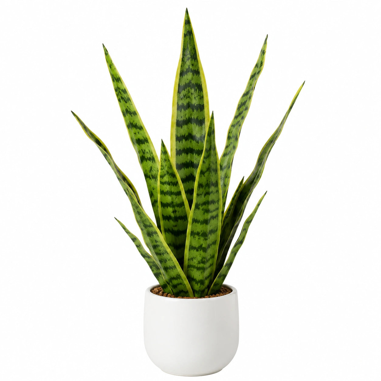 Künstliche Sansevieria Trifasciata Grün mit Keramiktopf, 50 cm