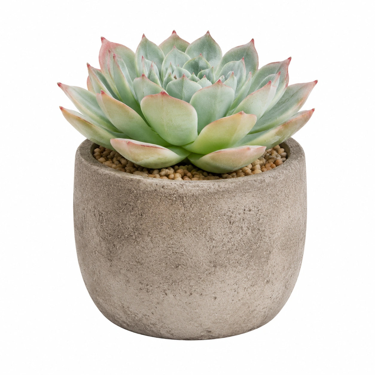 Künstliche Sukkulente mit Topf 15 cm Grün/Rosa